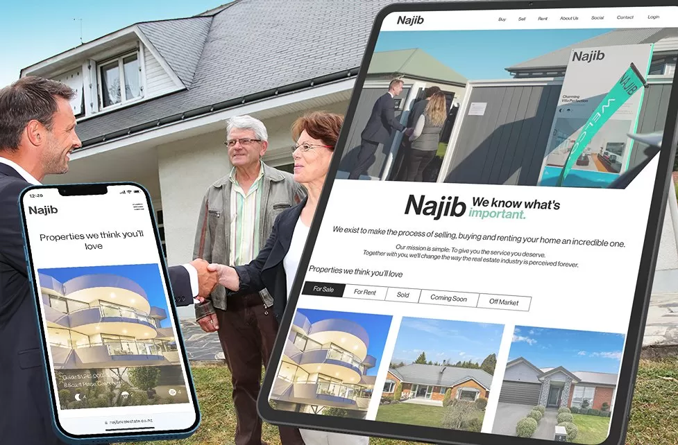 website development for Najib real estate