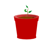 small growth plant graphic