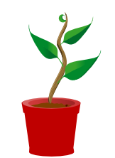 large growth plant graphic